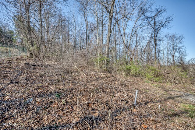 TBD Cannon Hill Dr, Elizabethton, TN 37643