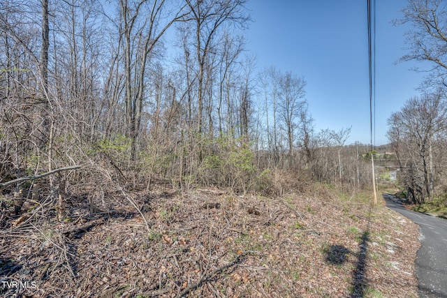 TBD Cannon Hill Dr, Elizabethton, TN 37643