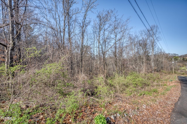 TBD Cannon Hill Dr, Elizabethton, TN 37643