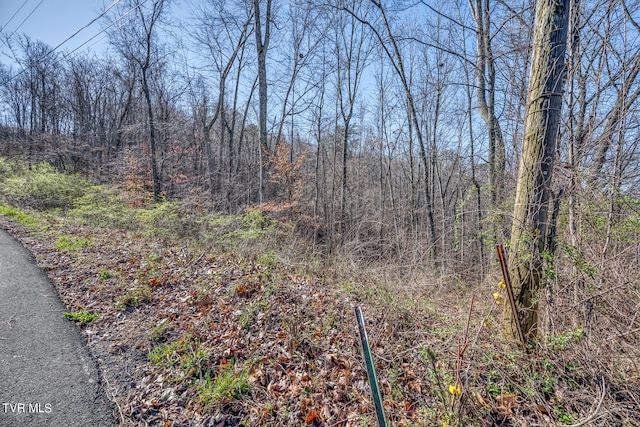 TBD Cannon Hill Dr, Elizabethton, TN 37643