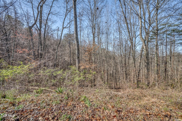 TBD Cannon Hill Dr, Elizabethton, TN 37643