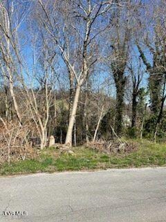 316 Blue Haven Dr, Kingsport, TN 37663 - photo 4