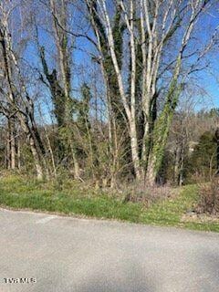 316 Blue Haven Dr, Kingsport, TN 37663 - photo 5
