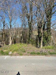 316 Blue Haven Dr, Kingsport TN, 37663 land for sale