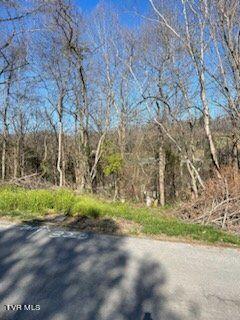 Listing photo 2 for 320 Blue Haven Dr, Kingsport TN 37663