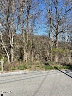 Listing photo 3 for 320 Blue Haven Dr, Kingsport TN 37663