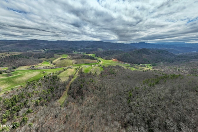 view of mountain view