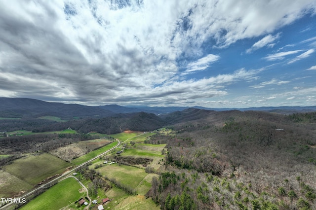 view of mountain feature