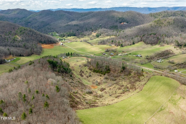 birds eye view of property featuring a rural view and a mountain view