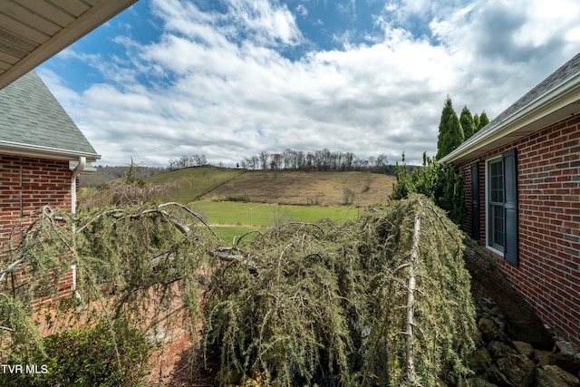 view of yard with a rural view