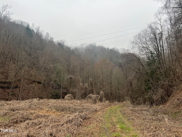 Listing photo 2 for TBD Bull Run Rd, Coeburn VA 24230