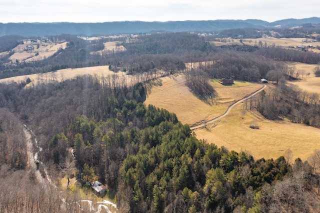 bird's eye view featuring a mountain view and a rural view