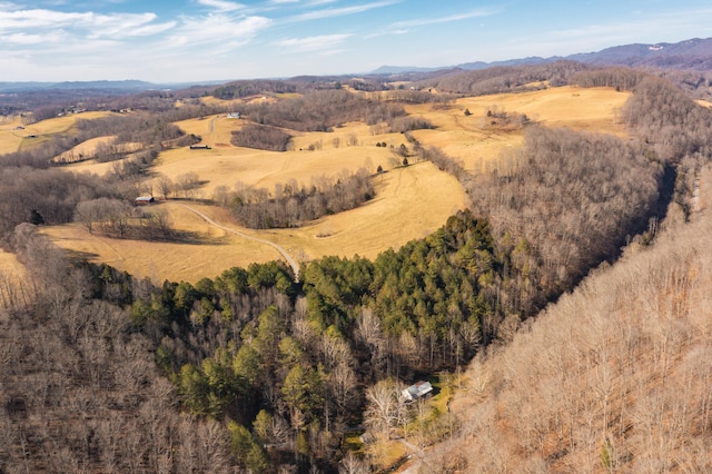 aerial view featuring a mountain view