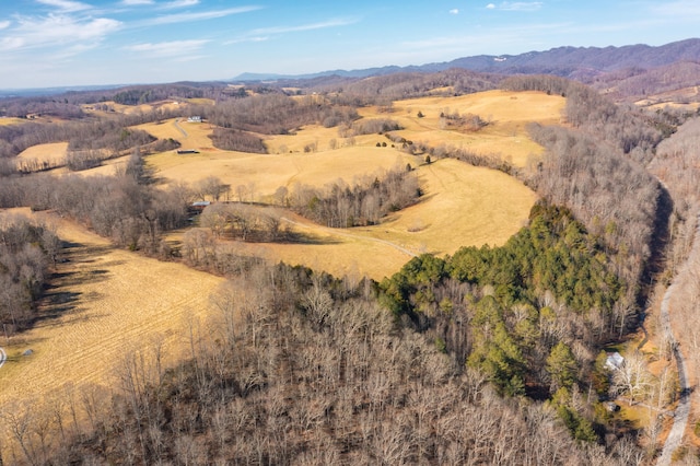 bird's eye view with a mountain view