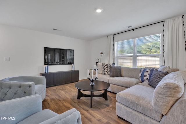 living room featuring wood-type flooring