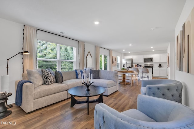 living room with wood-type flooring