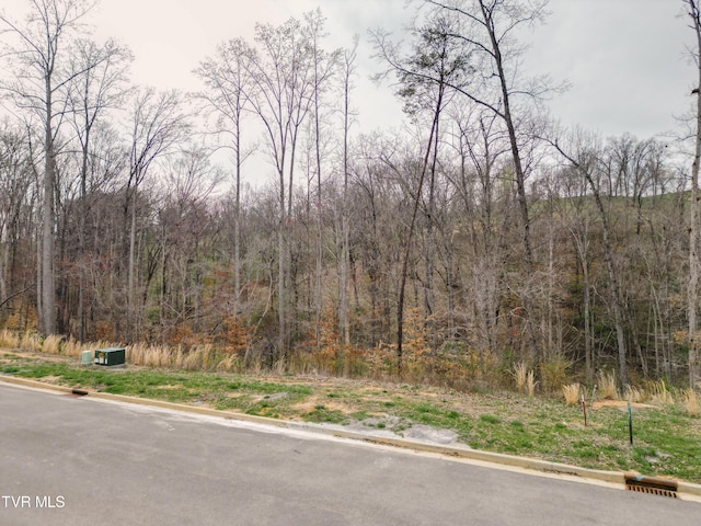 LOT30 Bridgewater Blvd, Morristown TN, 37814 land for sale