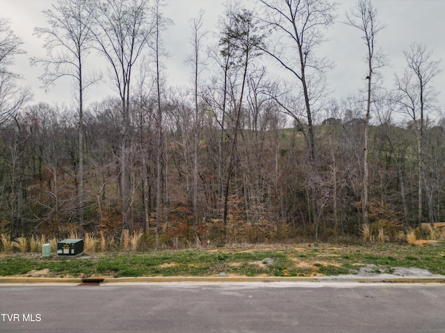 Listing photo 2 for LOT30 Bridgewater Blvd, Morristown TN 37814