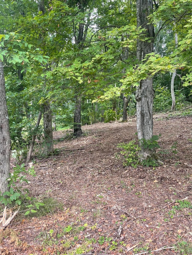 LOT35 Chimney Top Ln, Chuckey, TN 37641 - photo 1
