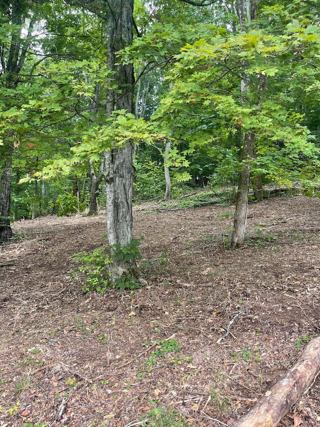 LOT35 Chimney Top Ln, Chuckey, TN 37641 - photo 2