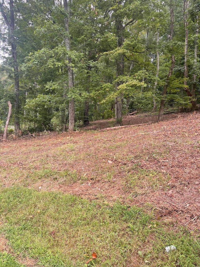 LOT35 Chimney Top Ln, Chuckey, TN 37641 - photo 3