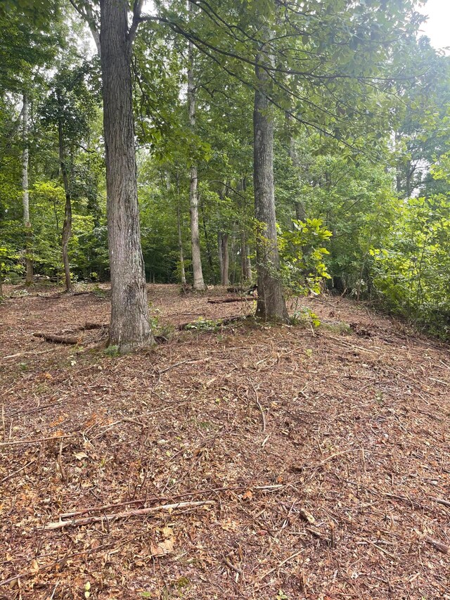 LOT35 Chimney Top Ln, Chuckey, TN 37641 - photo 5
