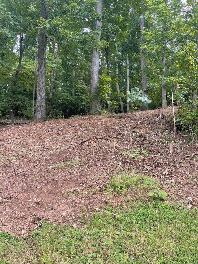 LOT35 Chimney Top Ln, Chuckey, TN 37641 - photo 6