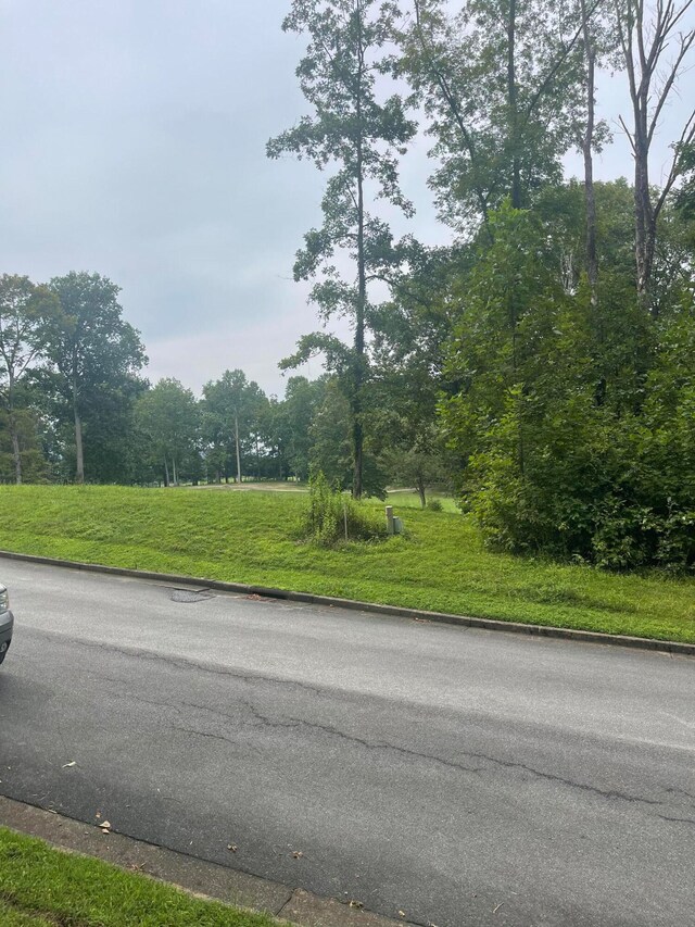 LOT35 Chimney Top Ln, Chuckey, TN 37641 - photo 8