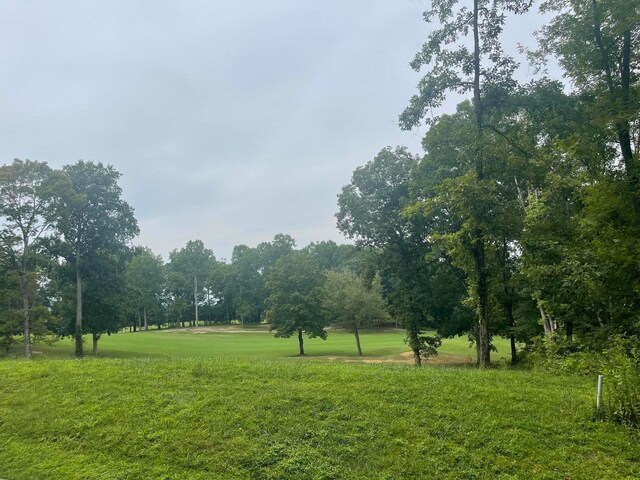 LOT35 Chimney Top Ln, Chuckey, TN 37641 - photo 9