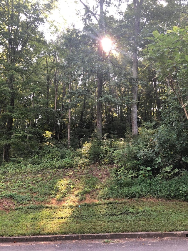 LOT43 Chimney Top Ln, Chuckey, TN 37641