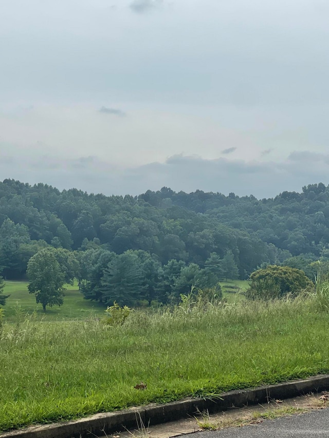 LOT43 Chimney Top Ln, Chuckey, TN 37641
