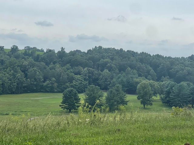 LOT43 Chimney Top Ln, Chuckey, TN 37641