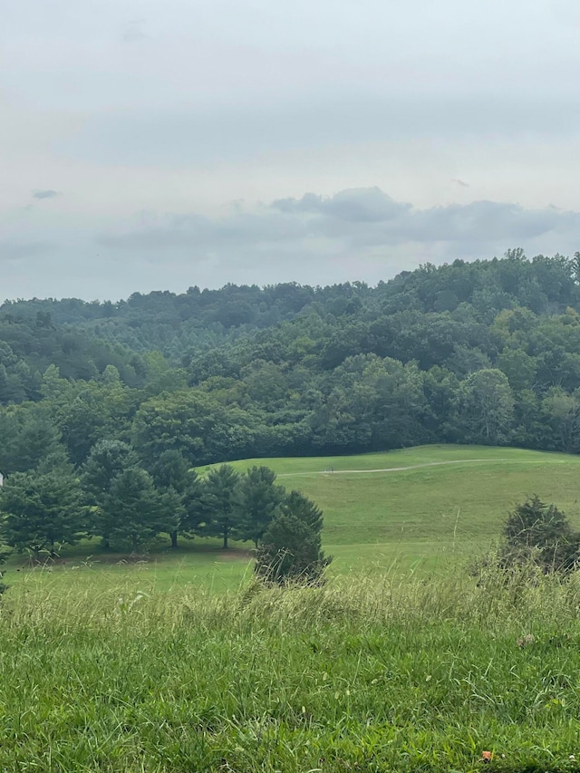 LOT43 Chimney Top Ln, Chuckey, TN 37641