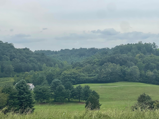 LOT43 Chimney Top Ln, Chuckey, TN 37641