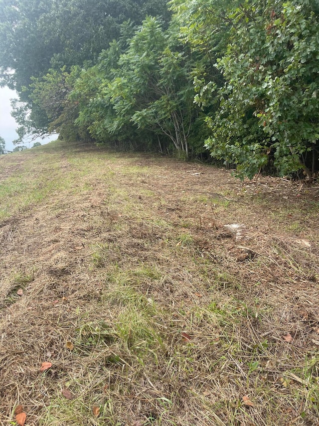 LOT43 Chimney Top Ln, Chuckey, TN 37641