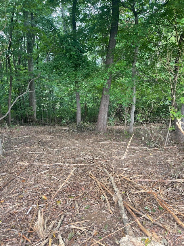 LOT43 Chimney Top Ln, Chuckey, TN 37641