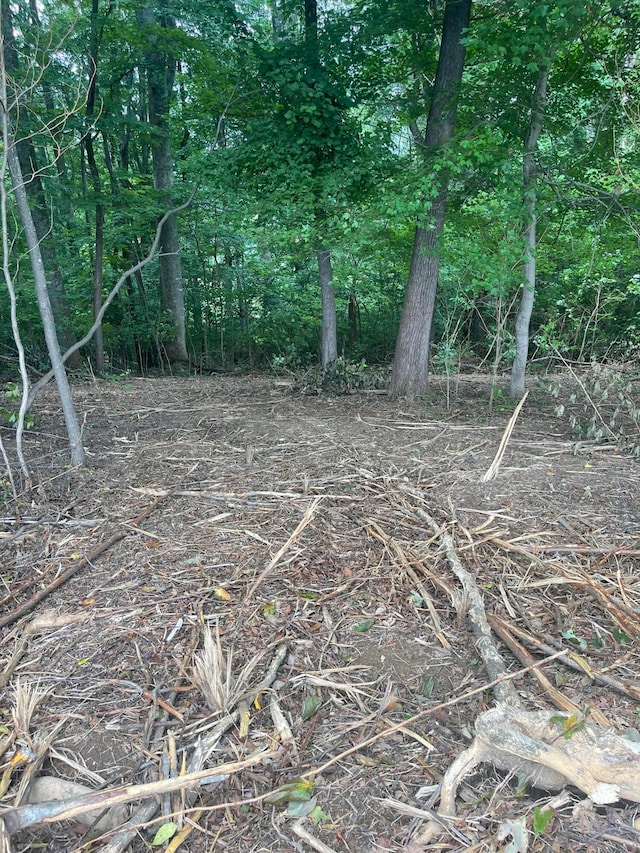 LOT43 Chimney Top Ln, Chuckey, TN 37641