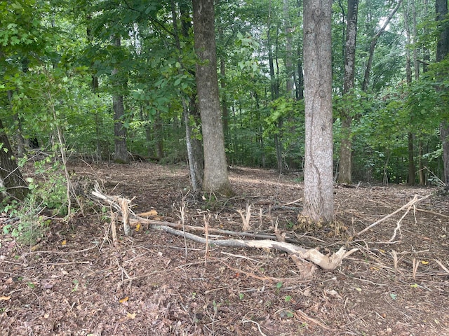 LOT43 Chimney Top Ln, Chuckey, TN 37641