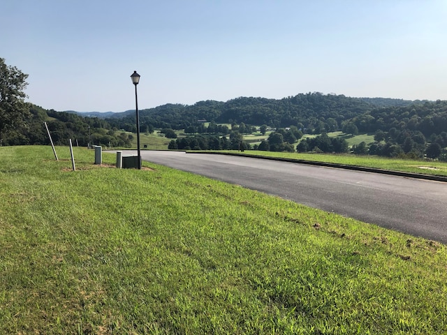 LOT48 Chimney Top Ln, Chuckey TN, 37641 land for sale