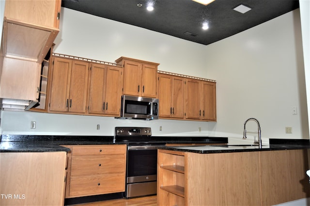 kitchen with sink, light hardwood / wood-style floors, dark stone counters, and stainless steel appliances