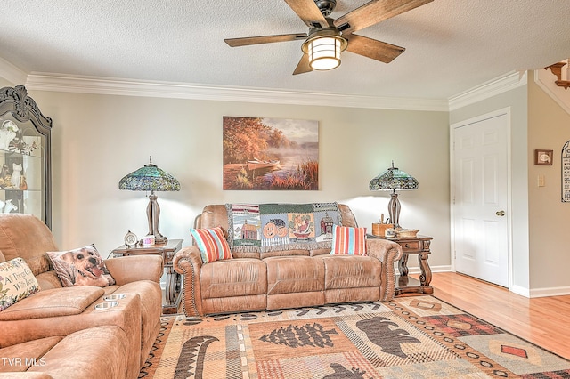 110 Eagle View Private Dr Unit 110, Blountville, TN 37617 - living area featuring ceiling fan, ornamental molding, wood finished floors, and a textured ceiling