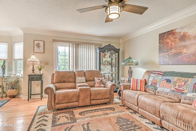 110 Eagle View Private Dr Unit 110, Blountville, TN 37617 - living room featuring crown molding, a ceiling fan, a textured ceiling, and light wood-type flooring