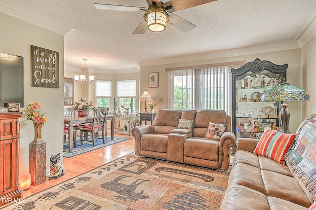 110 Eagle View Private Dr Unit 110, Blountville, TN 37617 - living area featuring a chandelier, a ceiling fan, light wood finished floors, crown molding, and a textured ceiling