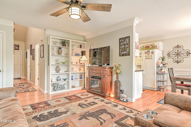 110 Eagle View Private Dr Unit 110, Blountville, TN 37617 - living room with light wood-style floors, ceiling fan, crown molding, a glass covered fireplace, and a textured ceiling