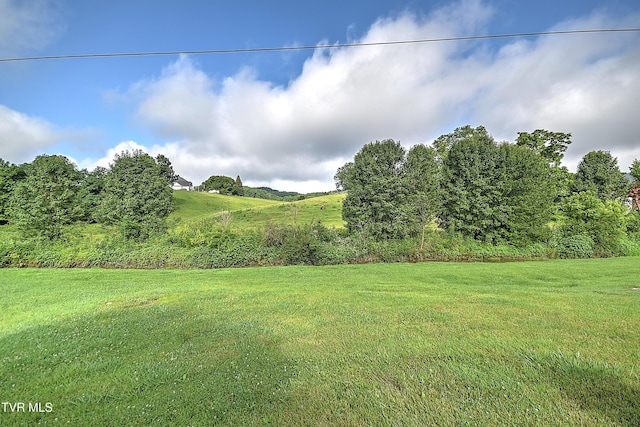 110 Eagle View Private Dr Unit 110, Blountville, TN 37617 - view of green lawn