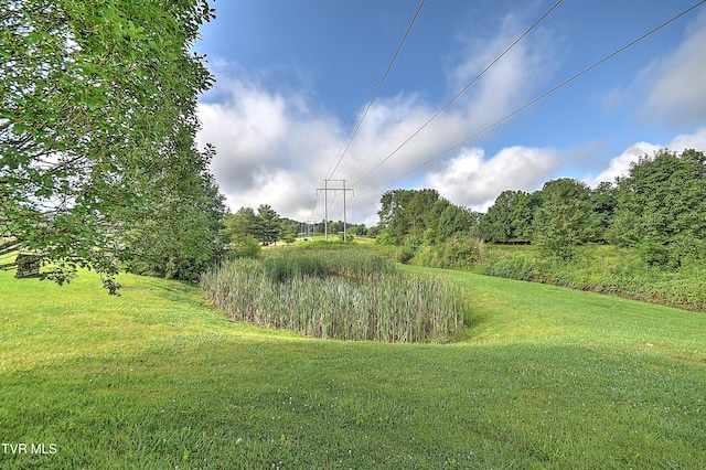 110 Eagle View Private Dr Unit 110, Blountville, TN 37617 - view of green lawn