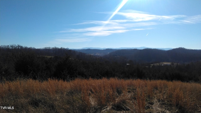 Listing photo 3 for 0000 Roaring Fork Rd, Greeneville TN 37745