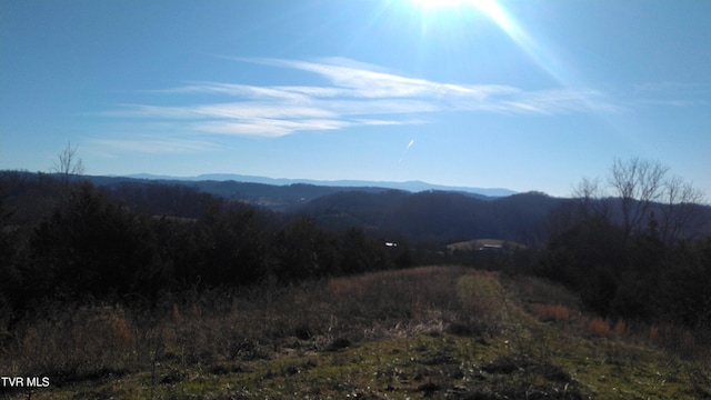 0000 Roaring Fork Rd, Greeneville TN, 37745 land for sale