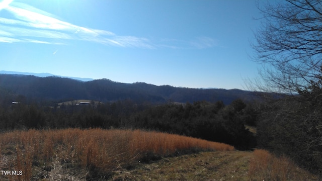 Listing photo 2 for 0000 Roaring Fork Rd, Greeneville TN 37745