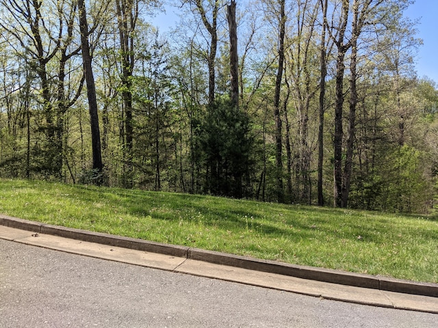 6 Serenity Rdg Trl, Bristol TN, 37620 land for sale